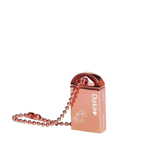 فلش مموری دیتا پلاس مدل GIFT USB-3.1ظرفیت 128 گیگابایت